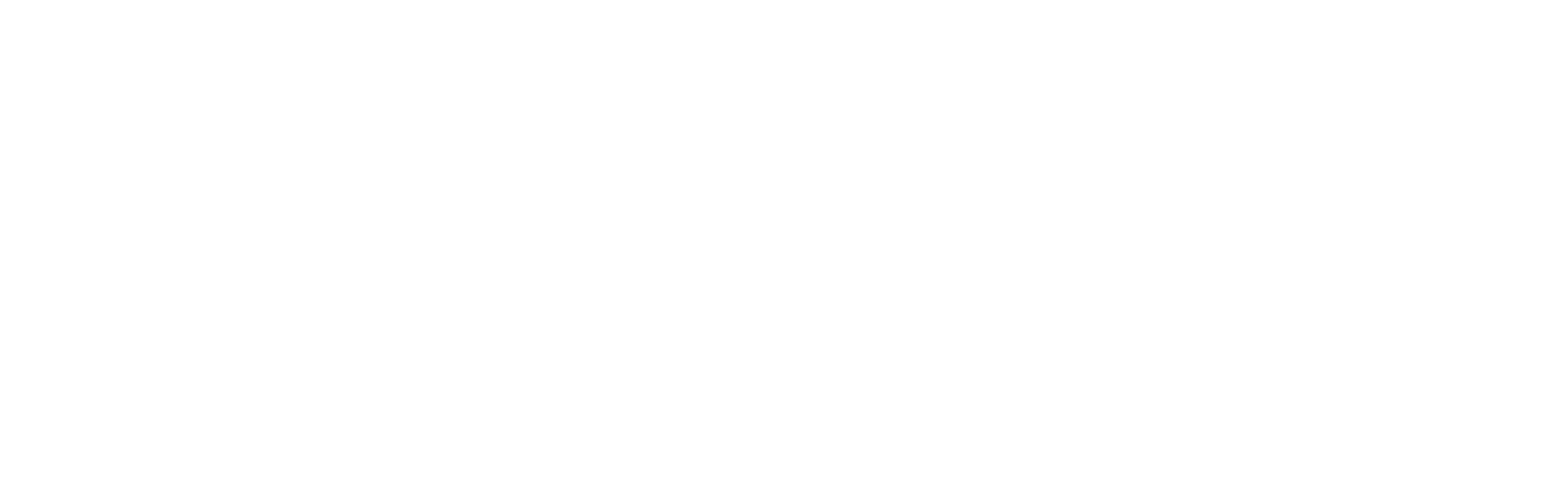CAAM Logo (White)